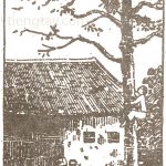 Shon chin giú - Tình đoàn kết